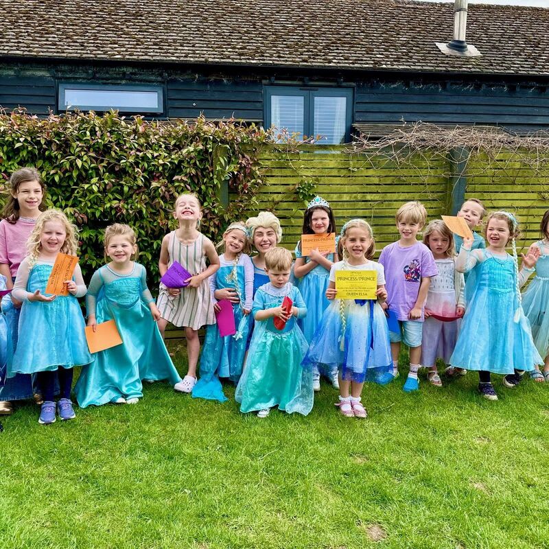 Frozen Princess Party