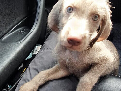 Canvas Printing Salford