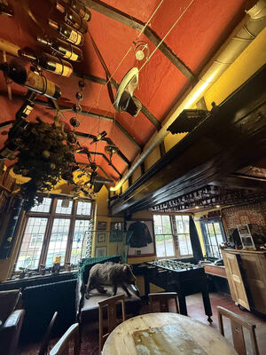 Lighting and cable routes beside the bar ceiling.