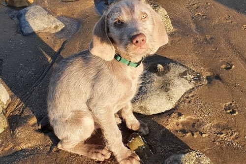 Easter Holiday Memories made to last forever!