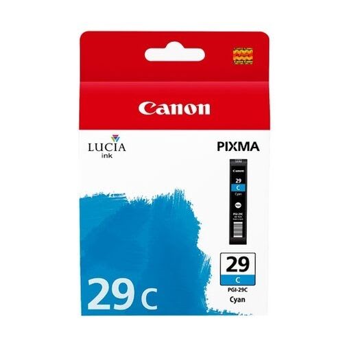 4873B001AA (PGI-29C) (29)