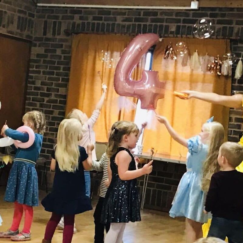 Belle Princess Party
