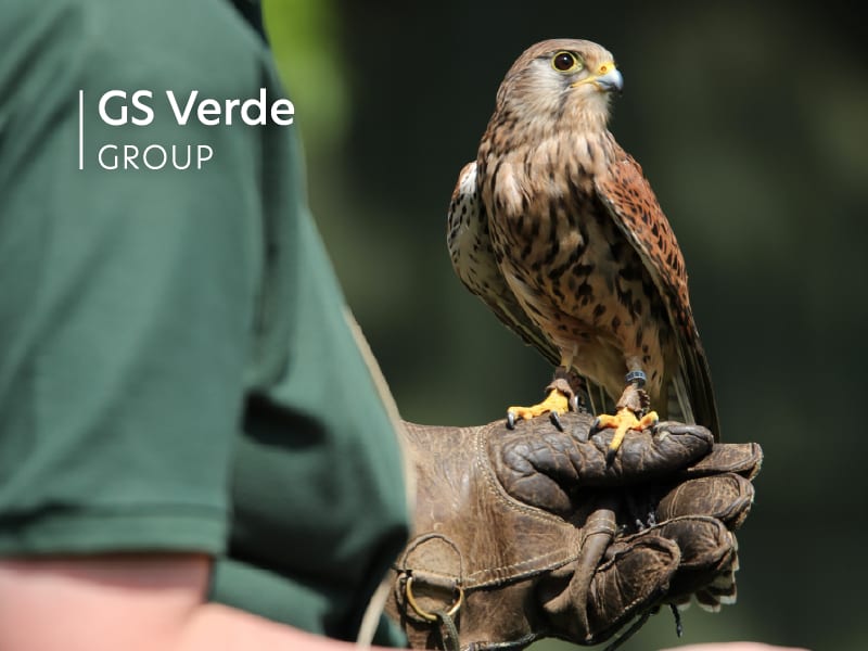 GS Verde advise on sale of specialist Environmental Services business
