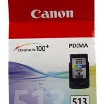 2971B001 (CL-513) (513)