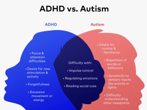 Autism, ADHD or Both?