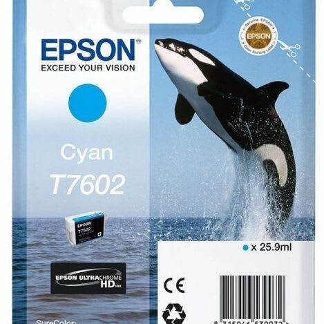 C13T76024010 (T7602)