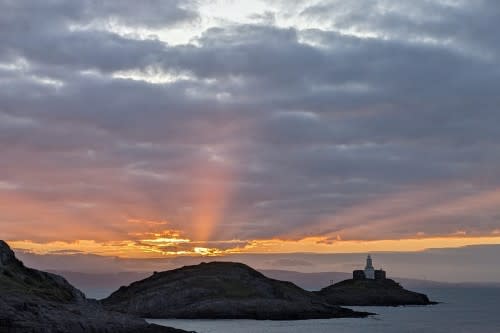 🎨✨ Transform Your Space with Stunning Canvas Prints! ✨🎨