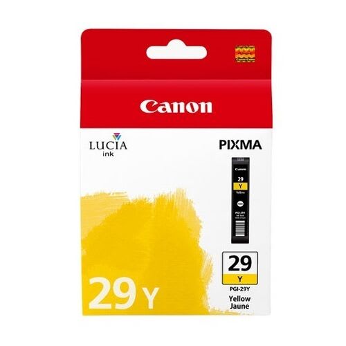 4875B001AA (PGI-29Y) (29)