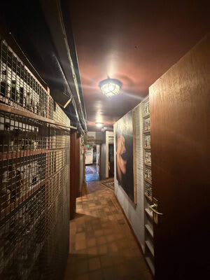 Lighting and surface-mounted wiring along an internal passage.