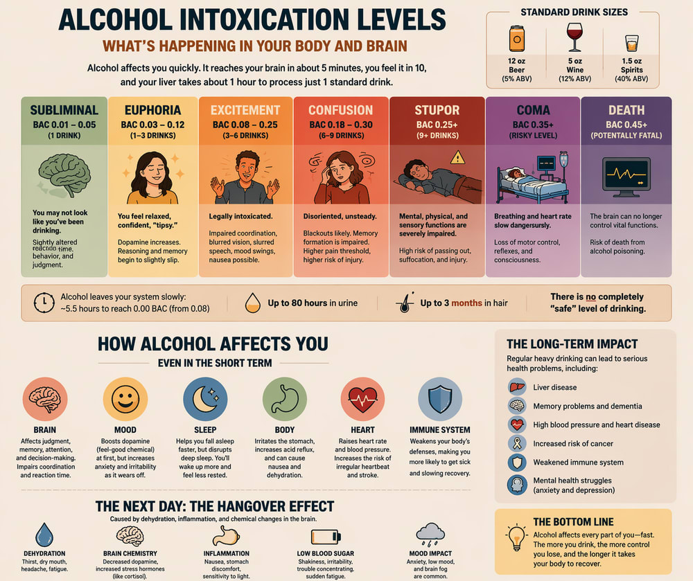 Alcohol and the Mind