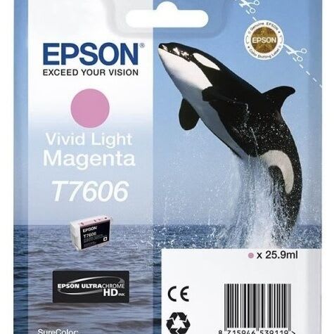 C13T76064010 (T7606)