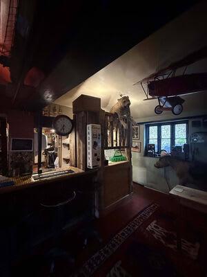 Lighting positioned around the bar’s existing features.