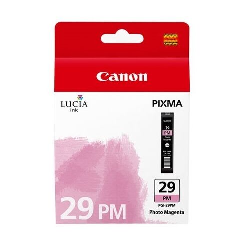 4877B001AA (PGI-29PM) (29)