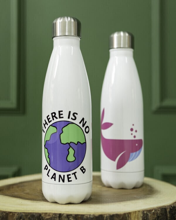 Eco-friendly water bottles with 'There Is No Planet B' and whale artwork, displayed on wood with green background.