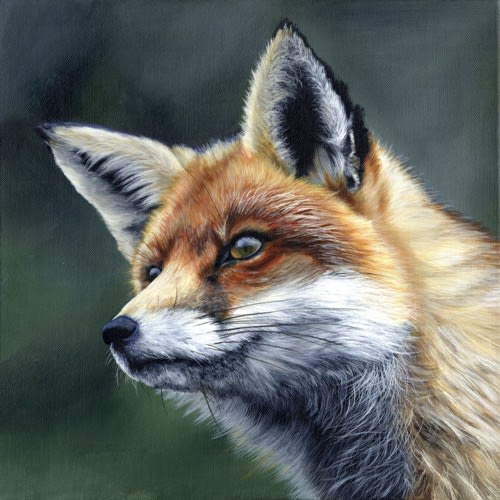 Self Isolation gift idea?