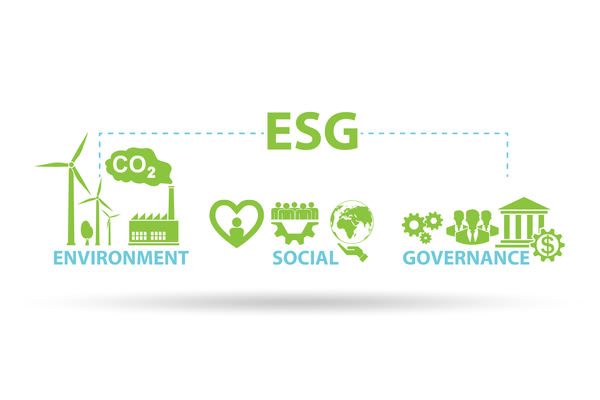 How to Get ESG Started in Your Organisation