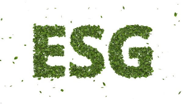 What is the difference between ESG and purpose?