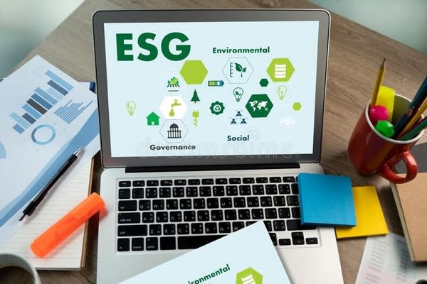 How the Free myConsole built-in ESG Maturity survey tool helps consultants undertake ESG Assessments