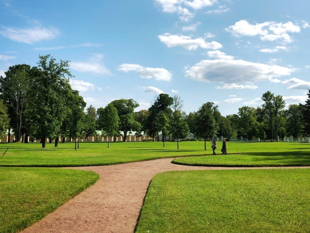 Established grounds maintenance business sold