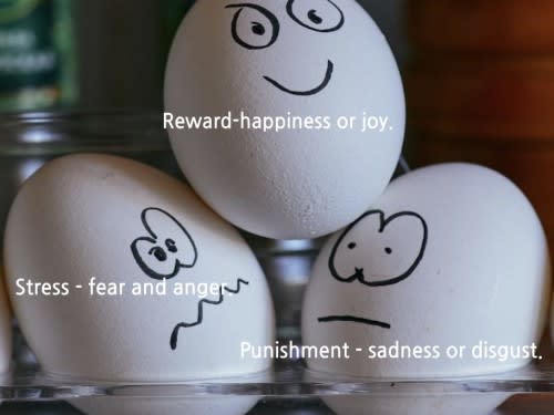 Identifying Emotions and Reflection