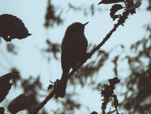 We all feel grief differently