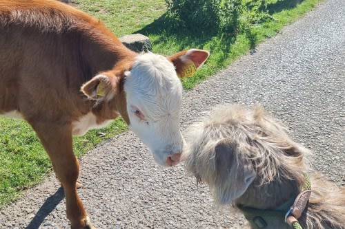 Start 2023 with a bang!