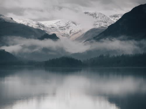 What is Psychological Projection?