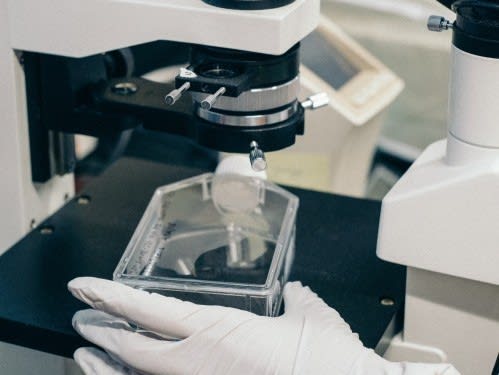 GS Verde Group advises Clinical Innovations on its cross border acquisition