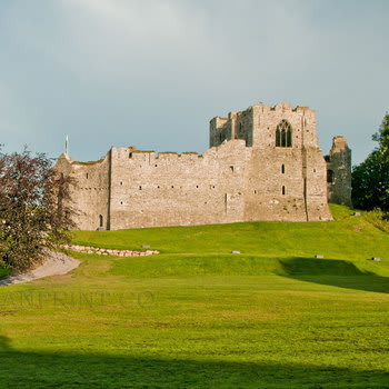 Oystermouth Castle