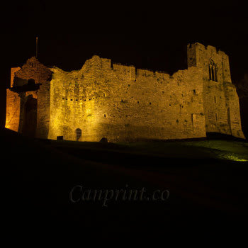 Oystermouth Castle