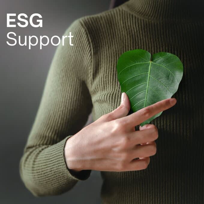 ESG Specialist Support