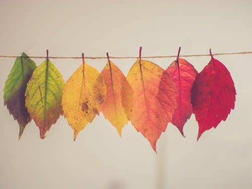 How CBT Supports Active Addiction and Recovery