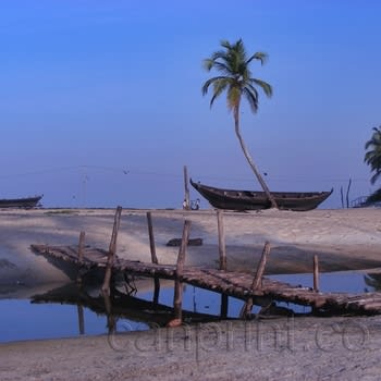 Tropical Beach
