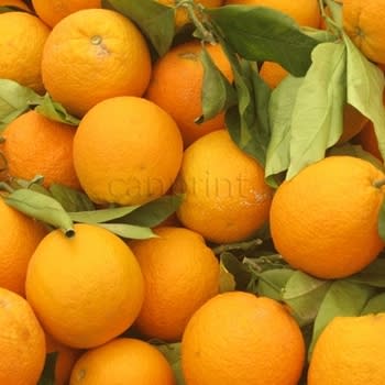 Oranges