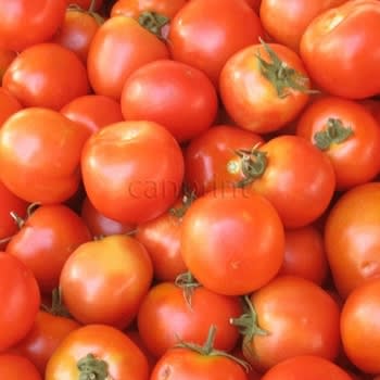 Tomatoes
