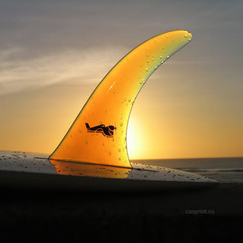 surf board