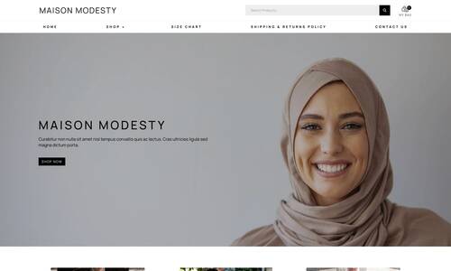 Ecommerce Website Design height=:300