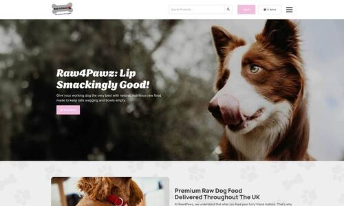 Ecommerce Website Design