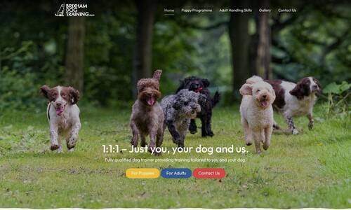 Bespoke Website Design