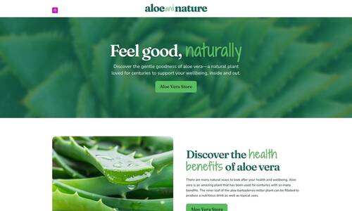 Launchpad Website Design