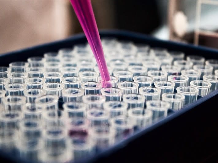 Project Bloom - Pioneering Global Leader in Digestive Healthcare