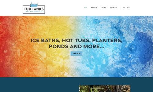 Ecommerce Web Design Example