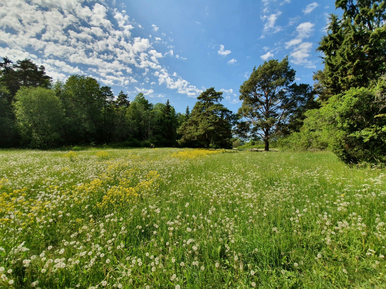 Project Haven – Unique High-End Holiday Accommodation Set In 15+ Acres of Private Land