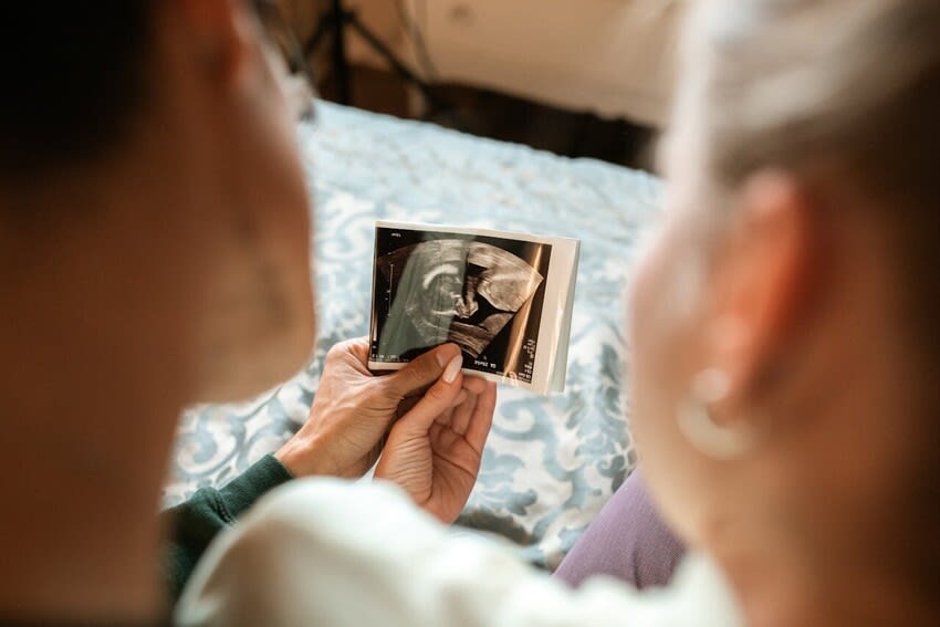 Early Pregnancy Scans