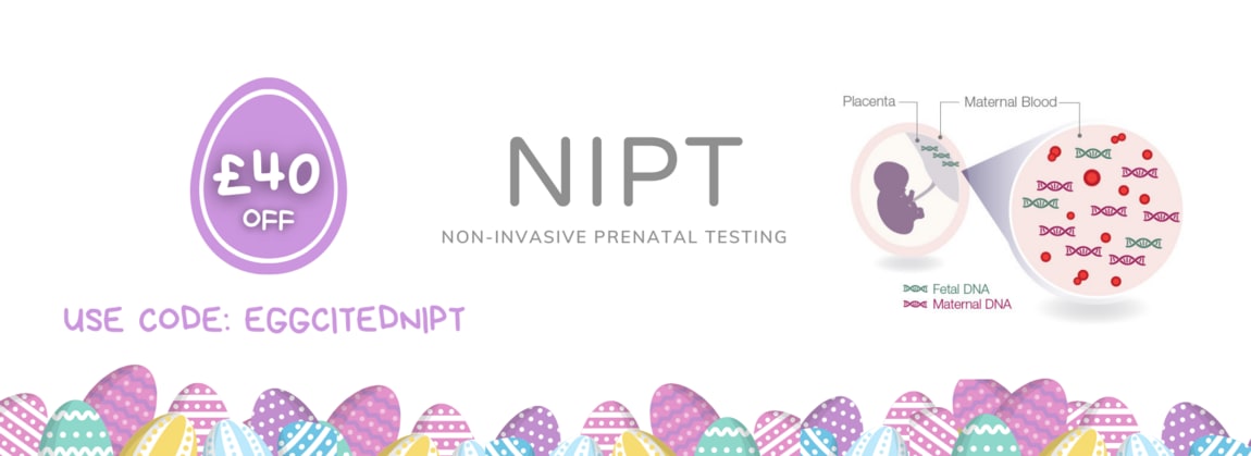 NIPT Test