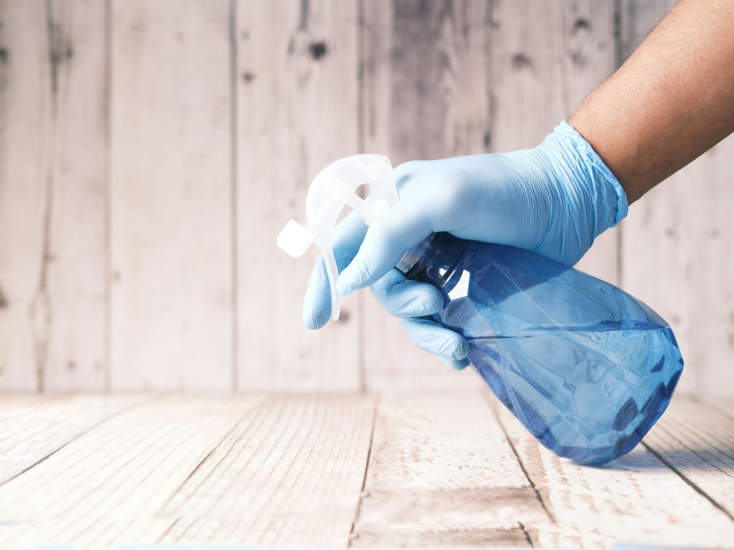 Project Cedar – Contract Cleaning and Property Maintenance Company in Ireland