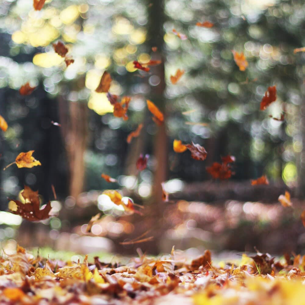 September Sadness