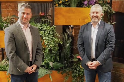 Dragonfly Enters GS Verde Group Creative Partnership