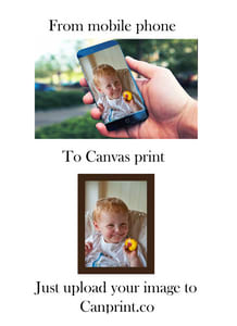 Picture to Canvas, Canvas Printing Online, Photo to Canvas, Photo on Canvas