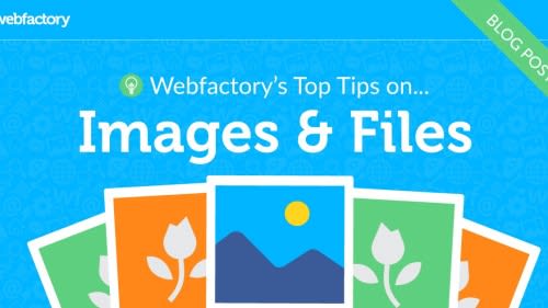 How to supply images and files to your designer